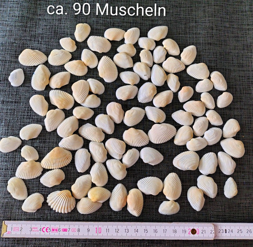 Weiß cremeweiß - ca., 90