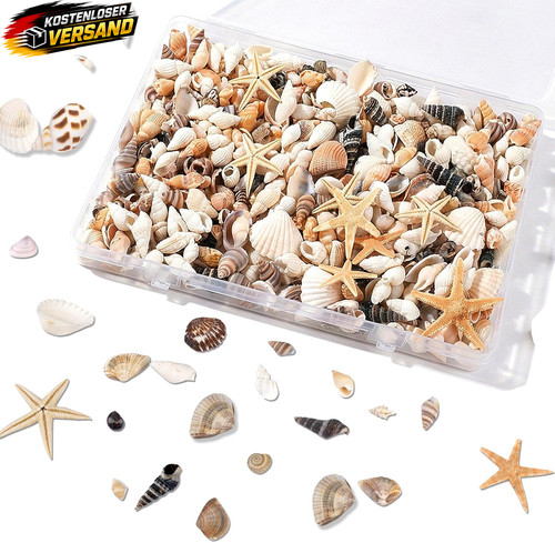 Kleine muscheln bastelmaterial - kleine,