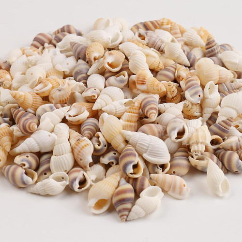 Muscheln bastelnmuscheln mit - muscheln,