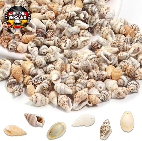 120 stück muscheln - 120,