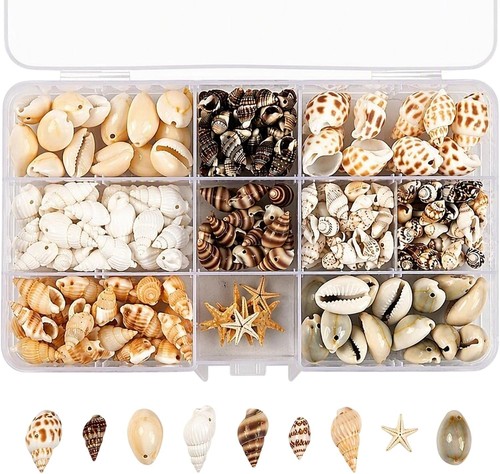200 deko muscheln seesterne - deko,
