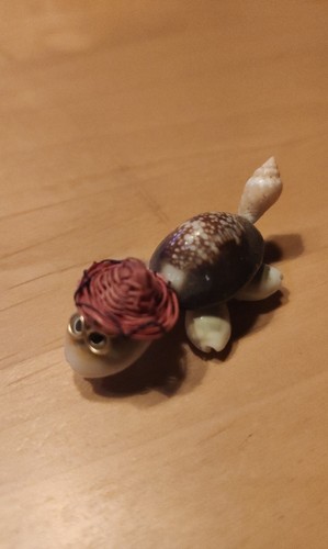 Kleine schildkröte aus - kleine,