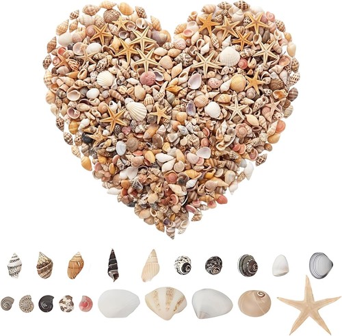 Deko muscheln zum basteln - muscheln,