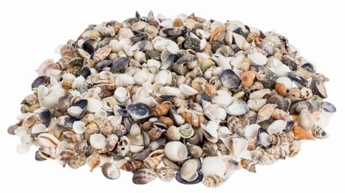 Nadeco muschelmix small 5kg - nadeco, 0,5kg