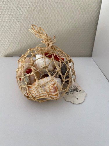 Muscheln natur deko - muscheln,