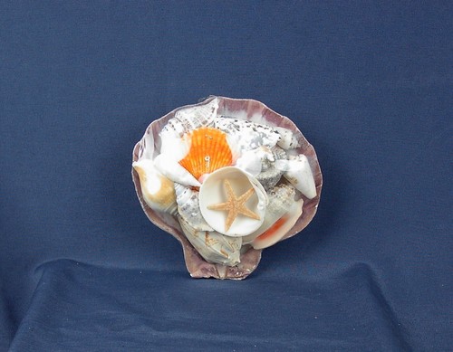 Muschelkorb 330 div - muschelkorb, g