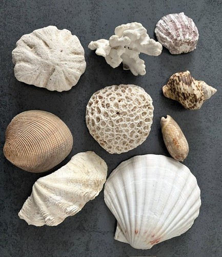 Sammlung verschiedener