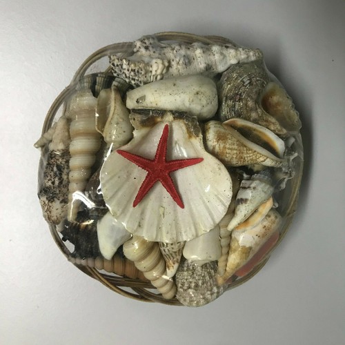 Deko muscheln muschelmix 300 - deko,