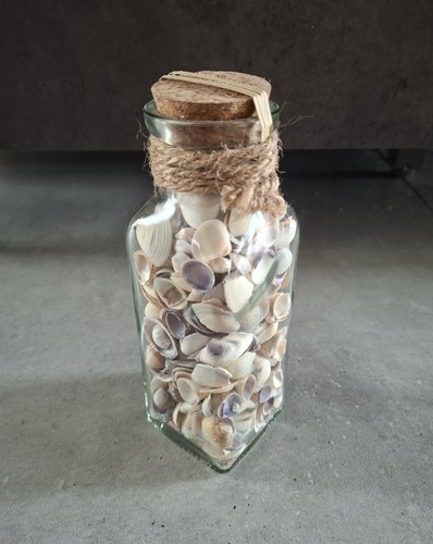 Maritime deko muscheln glas - maritime,