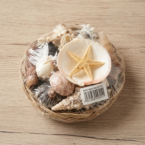 Neu dekoset muscheln - neu:, mit