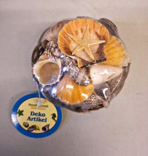 Muschelset korb seestern - muschelset,