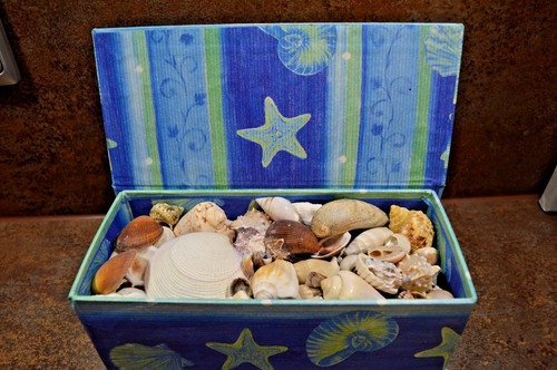 Muscheln deko dekorativer - in,