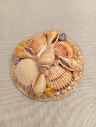 Muscheln deko - muscheln,