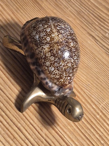 Schildkröte dekofigur - schildkröte,