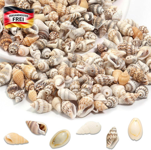 120 stück muscheln - 120,