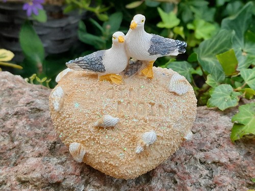 Möwen herz sand - herz, muscheln