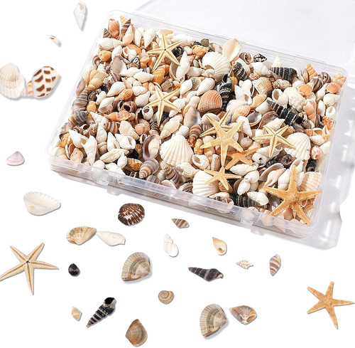 1000 stück kleine muscheln - stück,