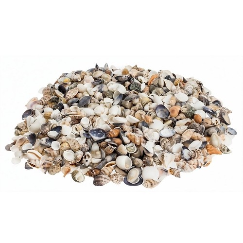 Muschelmix small 1kg - small,