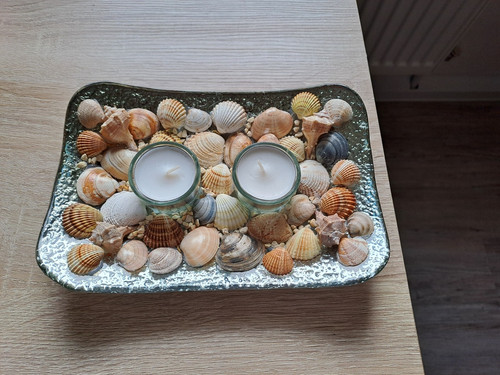 Muschel deko schale aus glas - muschel,
