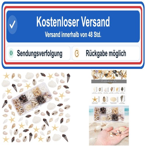 200 stück muscheln zum - stück,