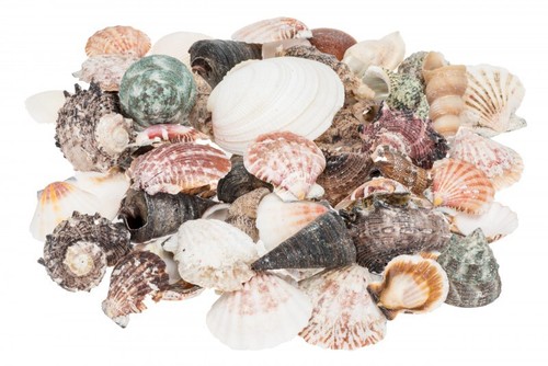 Nadeco muschelmix 520g - nadeco®,