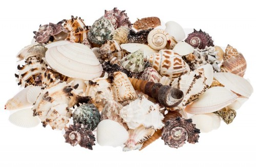 Nadeco muschelmix large 5kg - muschelmix, 0,5kg