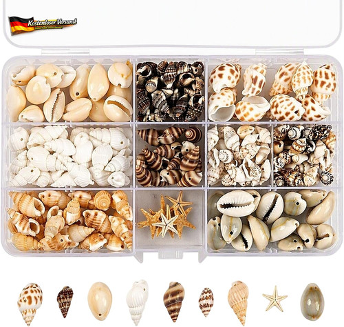 Deko muscheln seesterne - seesterne, set