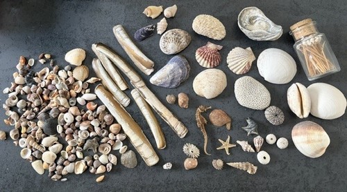 Große sammlung verschiedener - große,