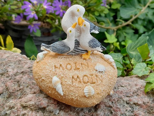 Möwen junges herz sand - junges,