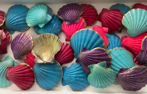 Stück muscheln - stück,