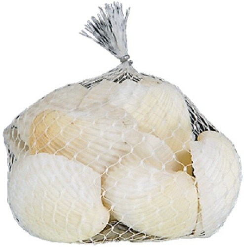 Muscheln netz - im,