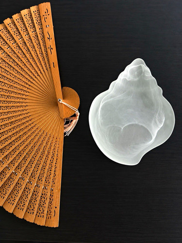 Muschel schale glas - muschel,