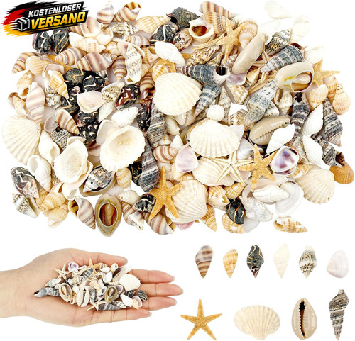 200 stück muscheln zum - muscheln,