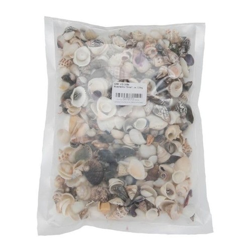 Muschelmix small kg kleine - kg,